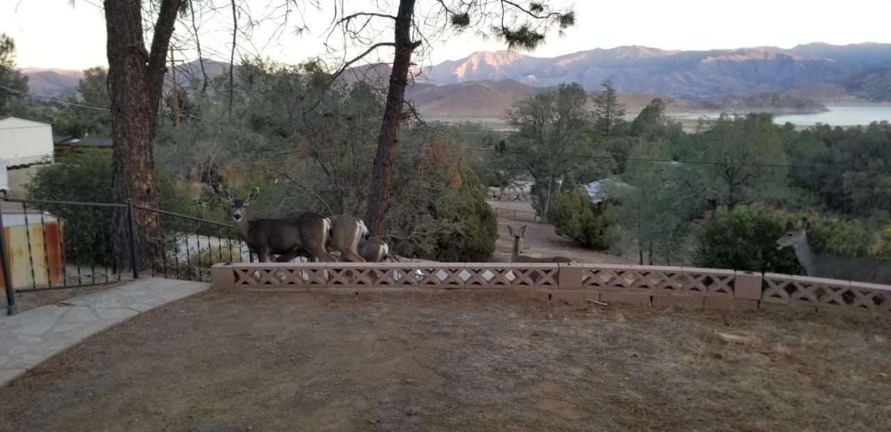 3Br Panoramic Lake View, Sequoia Forest, Kern County Wofford Heights ภายนอก รูปภาพ